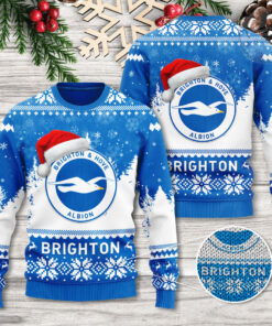 Brighton Hove Albion Sweater OVS271123S1